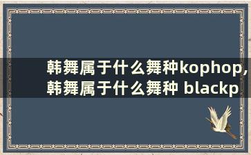 韩舞属于什么舞种kophop,韩舞属于什么舞种 blackpink